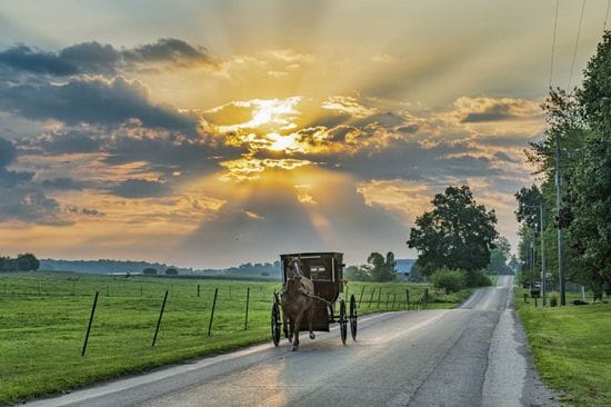 Amish Wood Cook Stoves - A Canadian Tradition